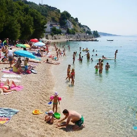 Violet * Jesenice (Split-Dalmatia)